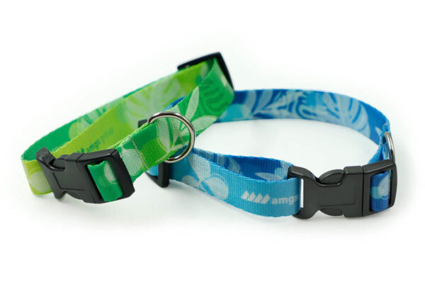Close-up of a green and blue custom personalized dog collars with buckle.