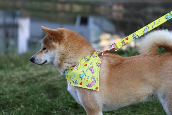 Detailed view of a bright yellow customizable dog bandana with colorful cat patterns, worn by a Shiba Inu during an outdoor walk.