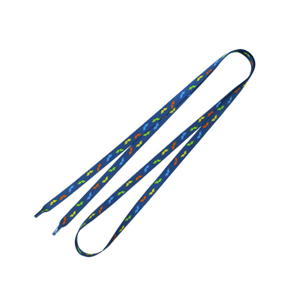 Flat blue shoelaces with repeating green and orange graphic design.